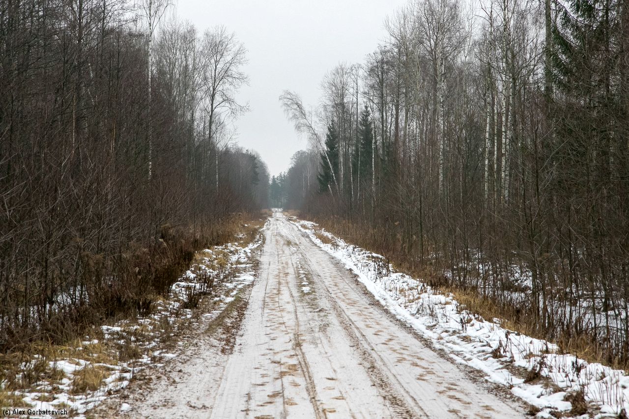 ������ ������