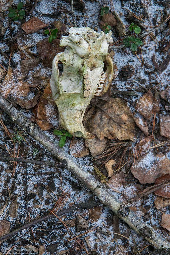 ��������� ������!