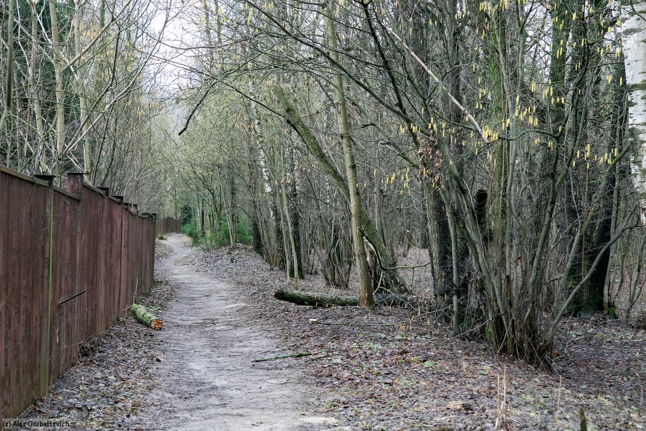 �����. �������. ���.