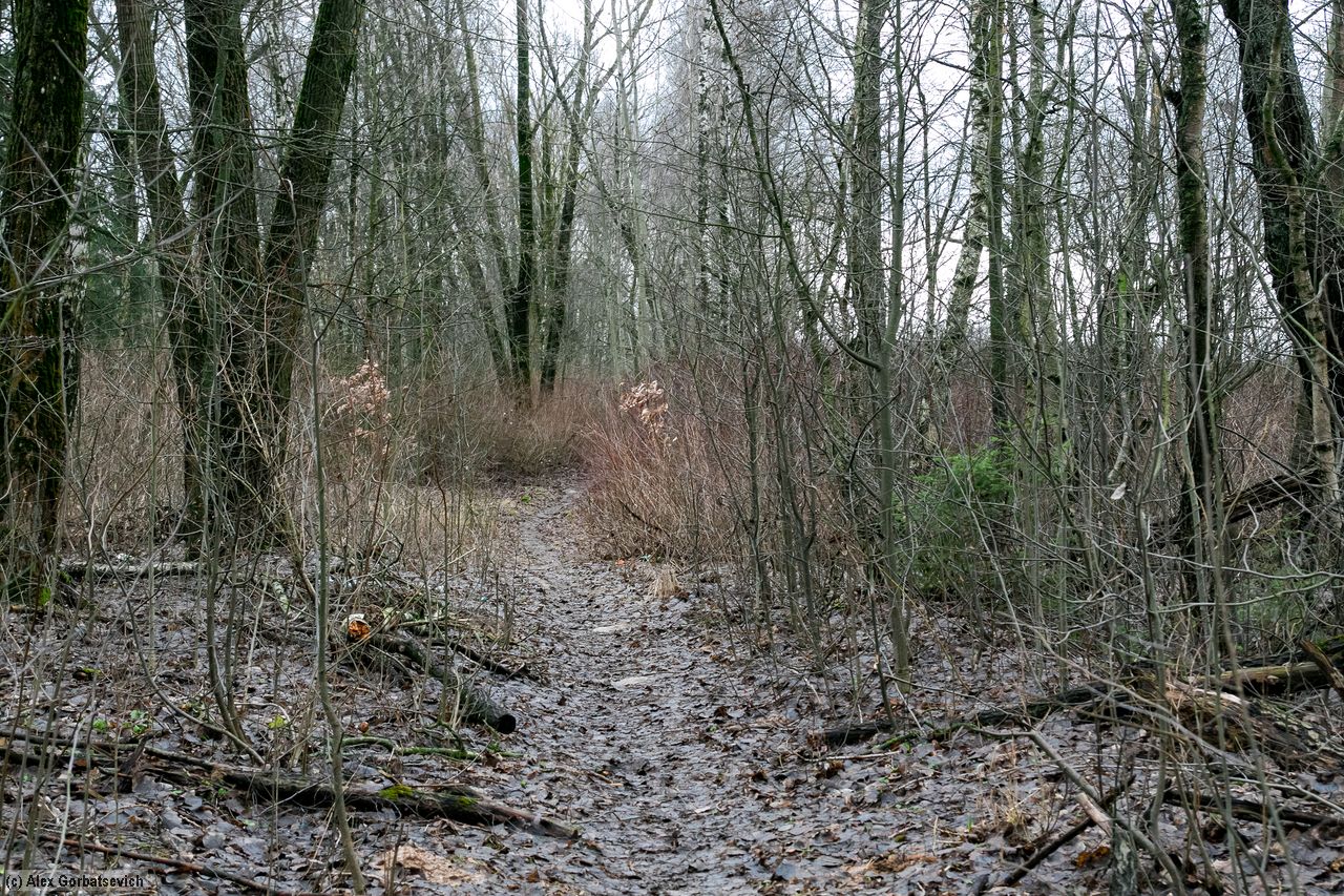 ������ ��������