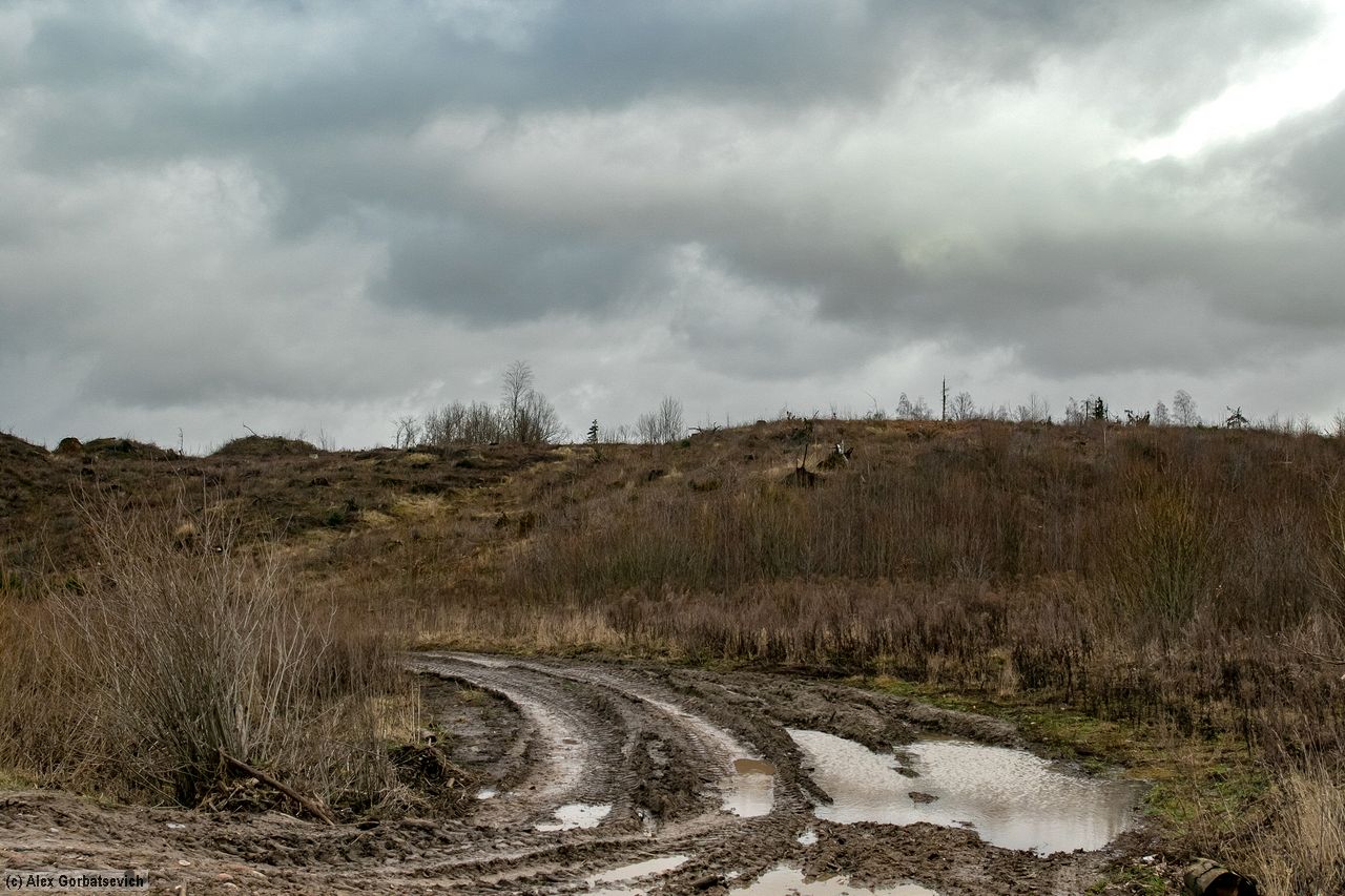 ����������� �������