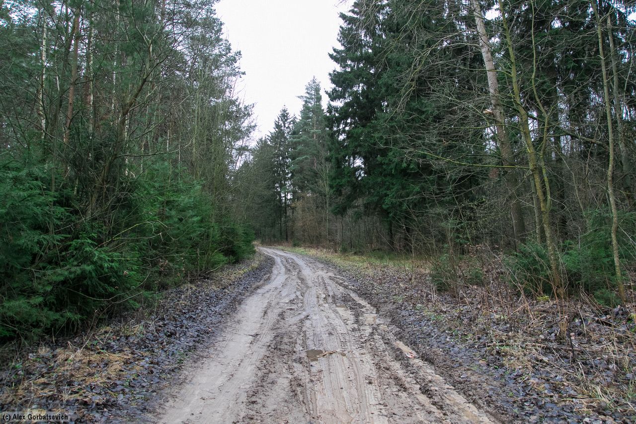 ������ � ���