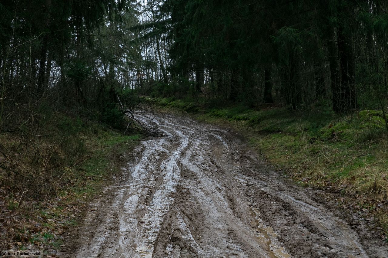 ������ � ���������� ���������