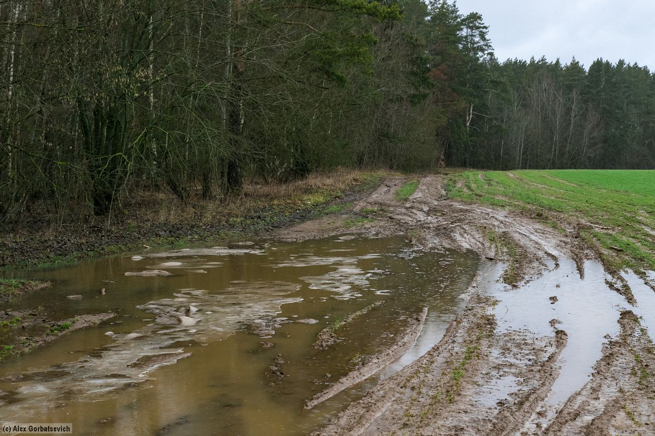 ������� ������