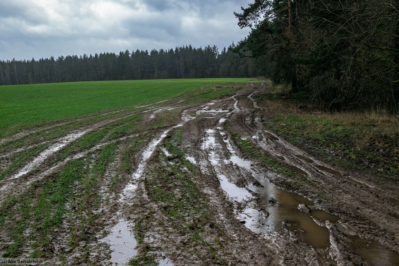 ������� ������