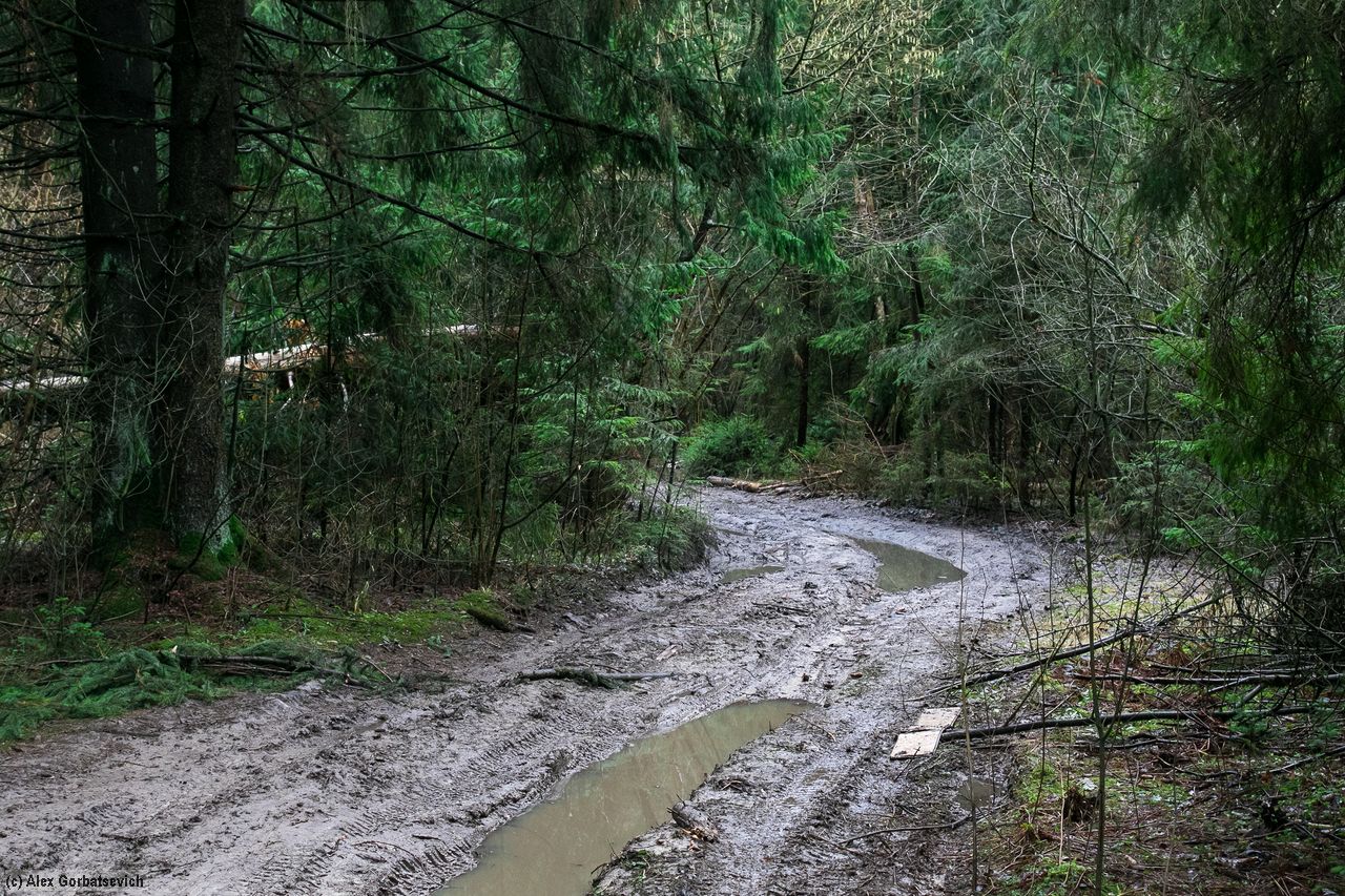 ������ ������