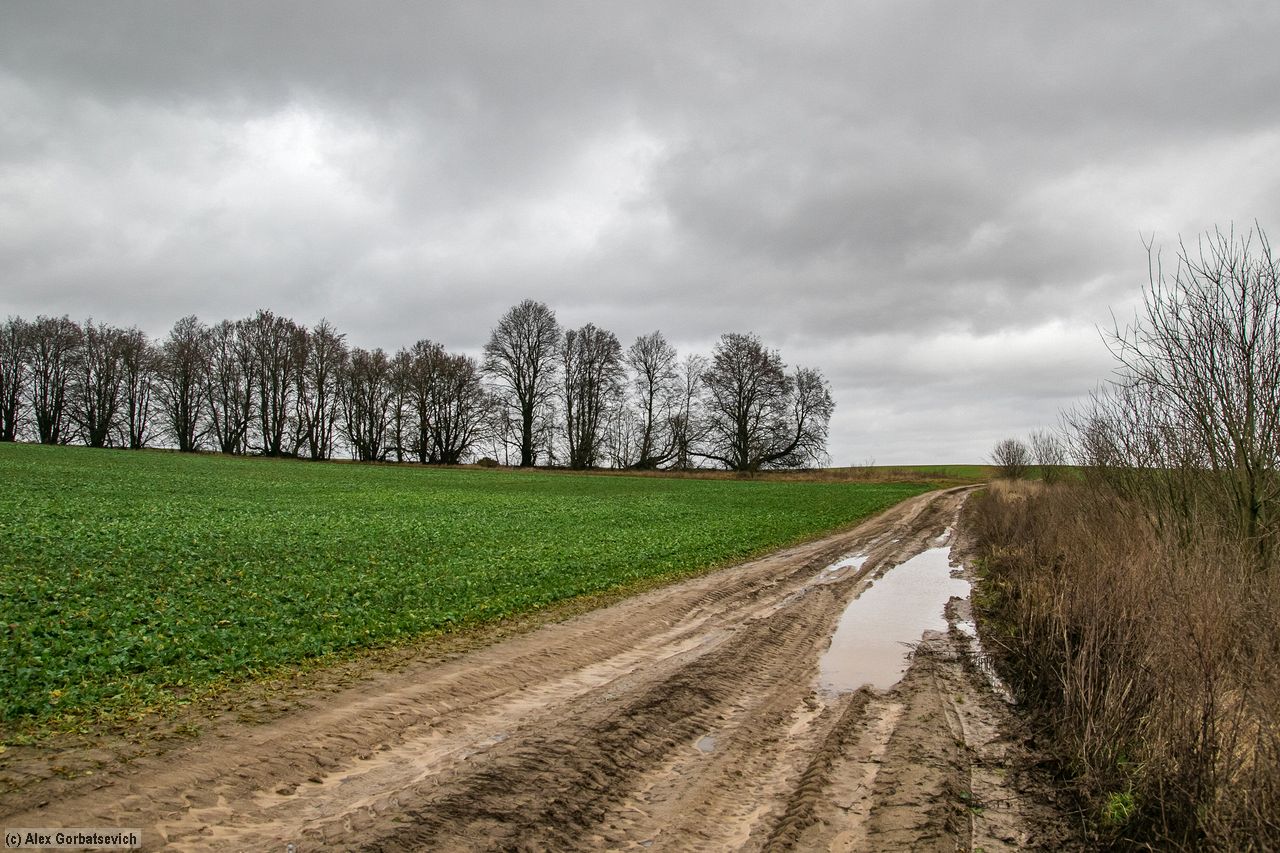 ������� ������