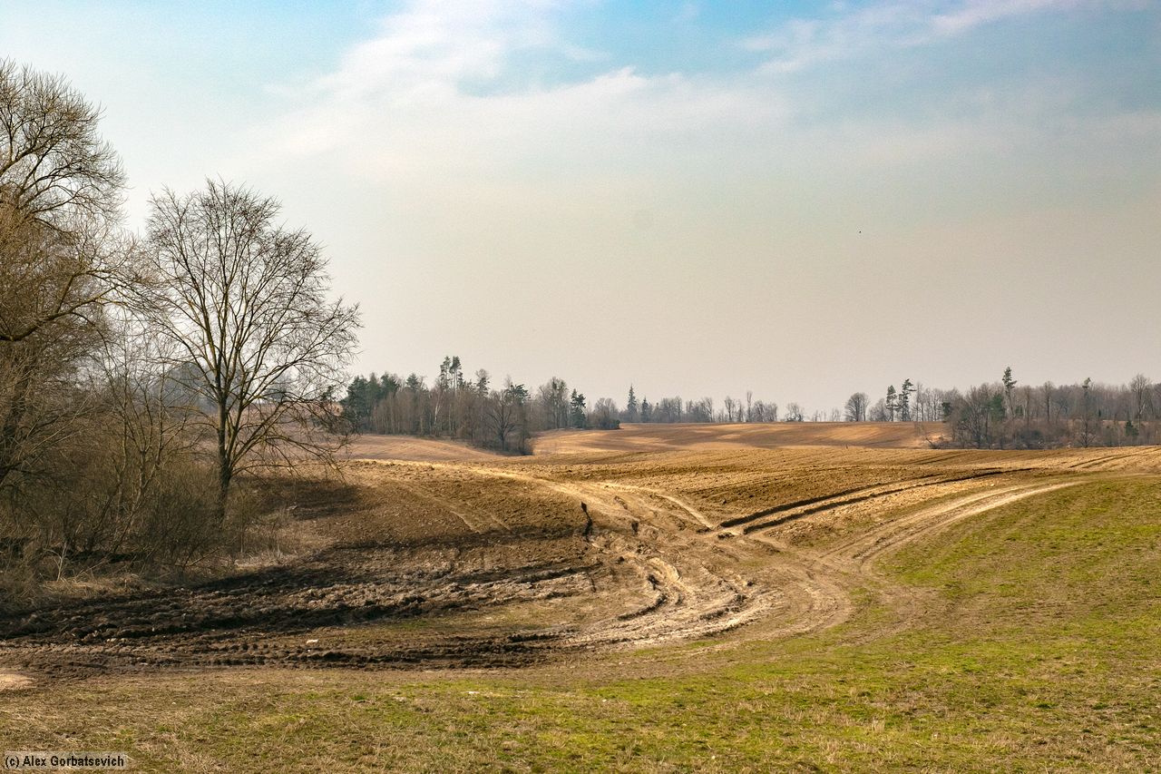 �������� ����