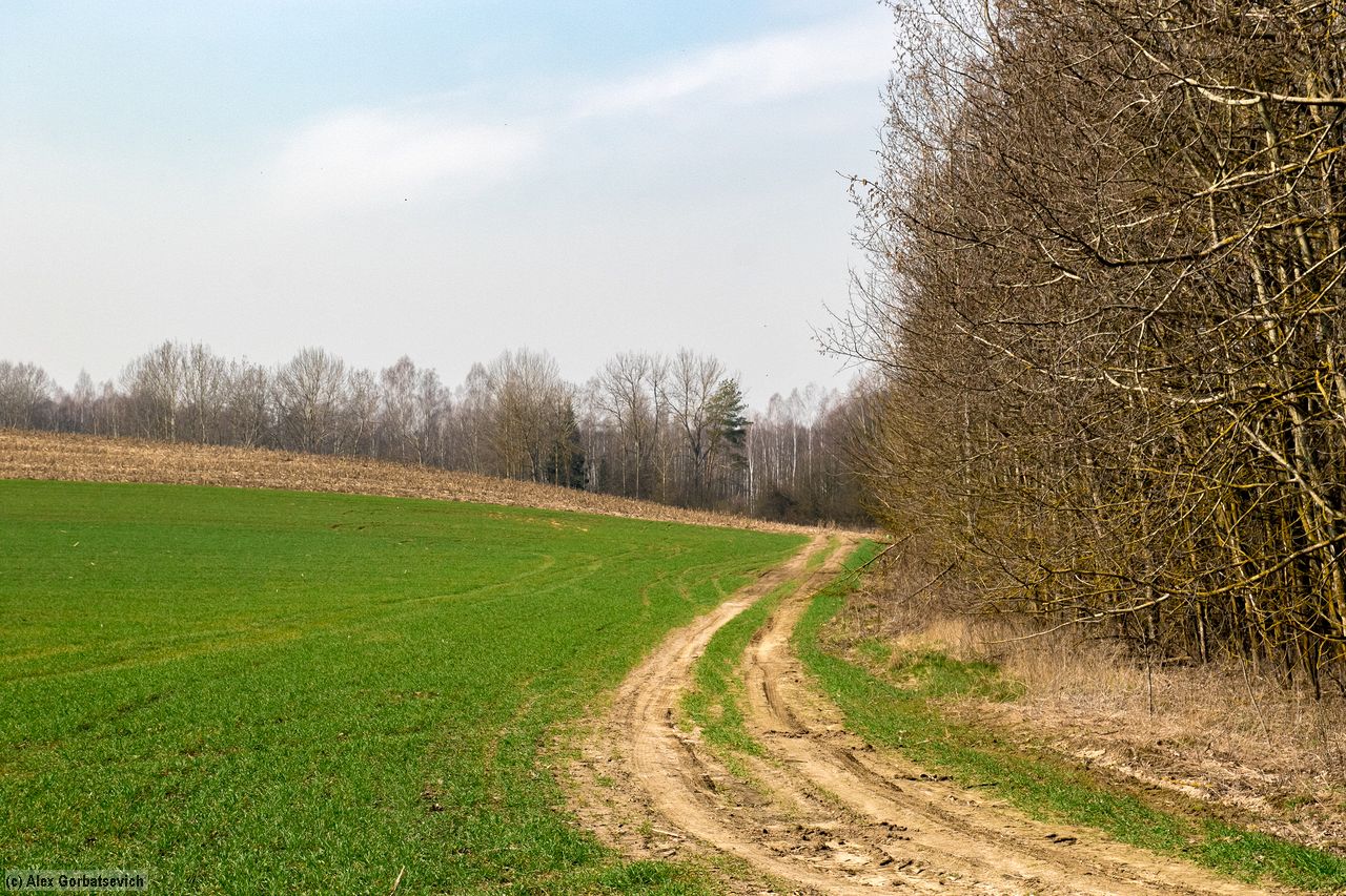 �������� ����