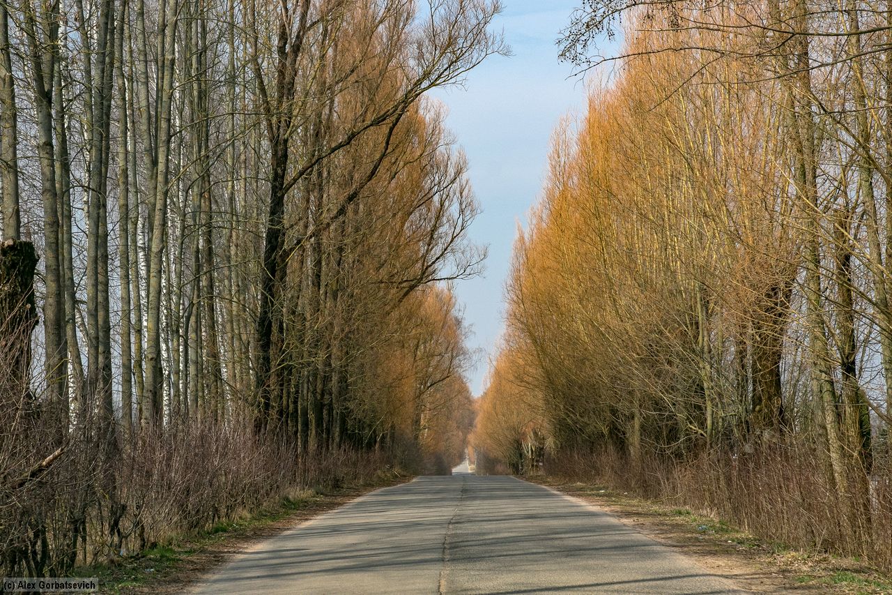 ����� �����