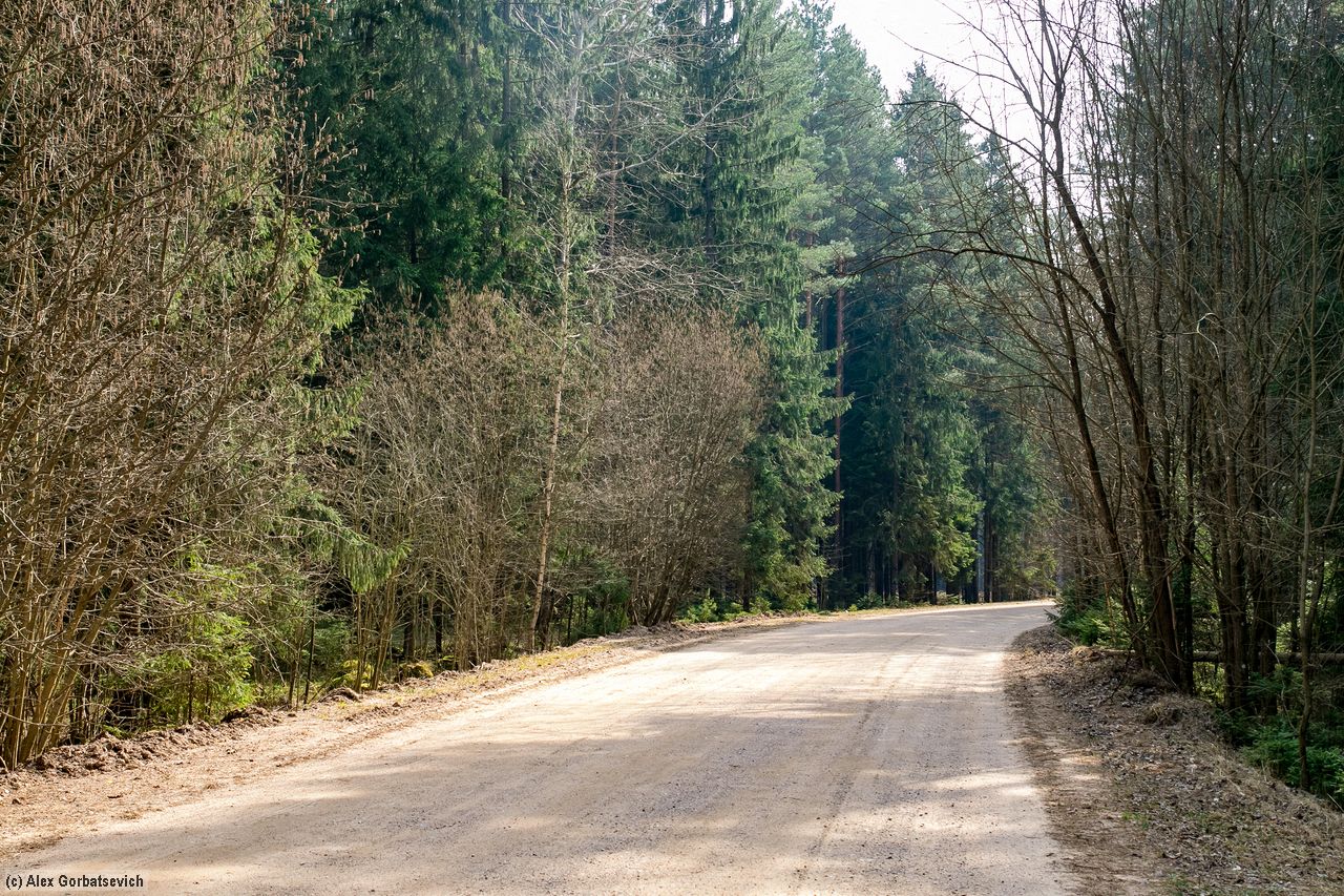 ������ ������