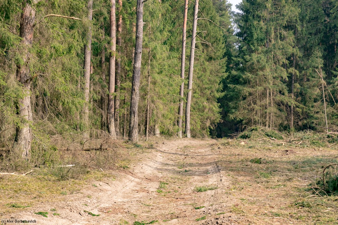 �� �������