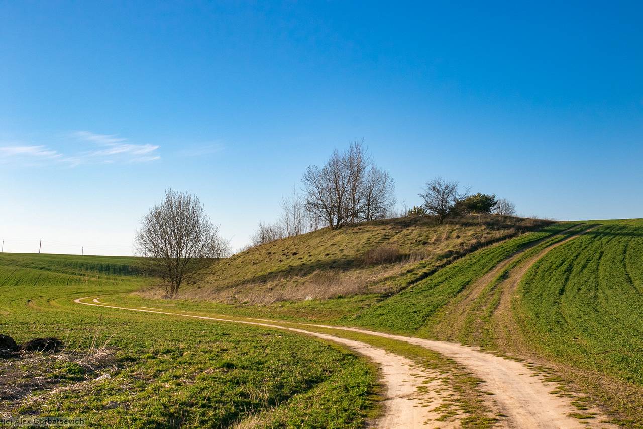 ���� ������