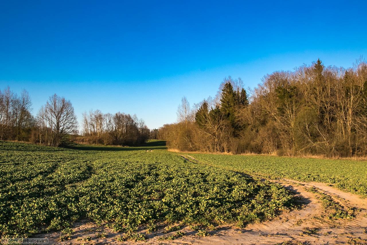 ������� ������