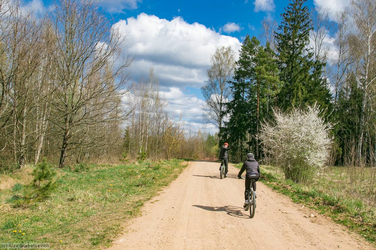 ������ - �����