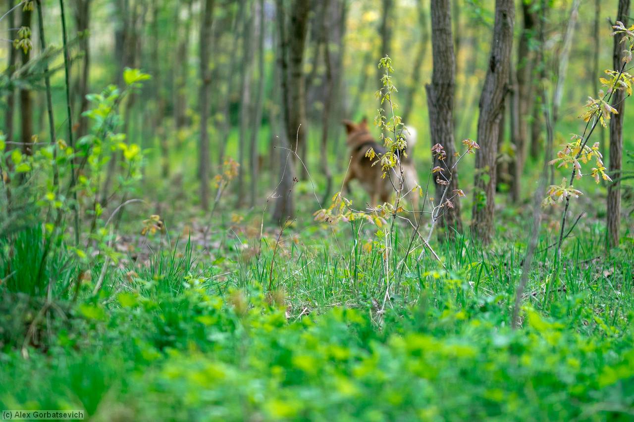 � ������� ������