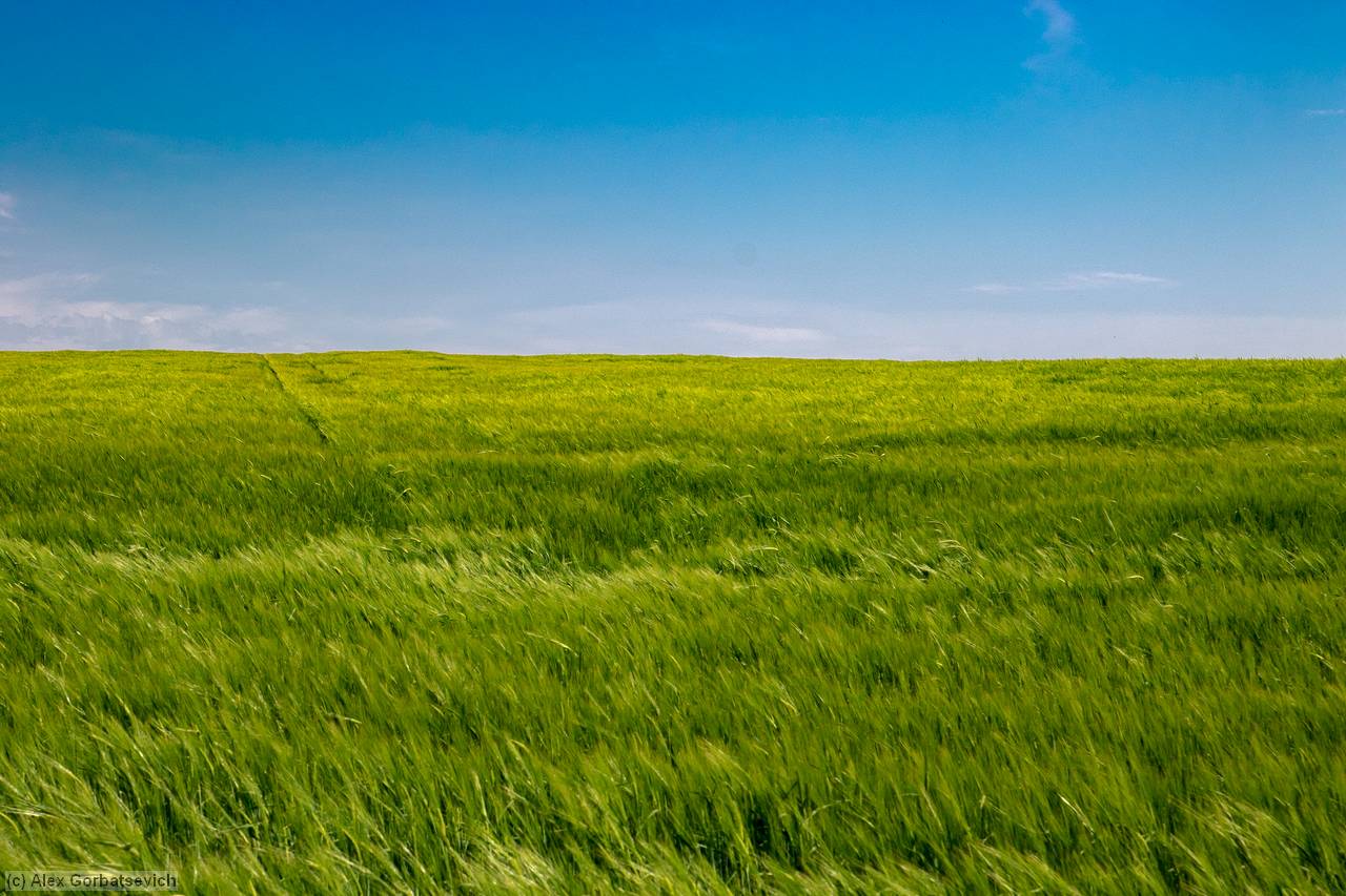 ������ ����