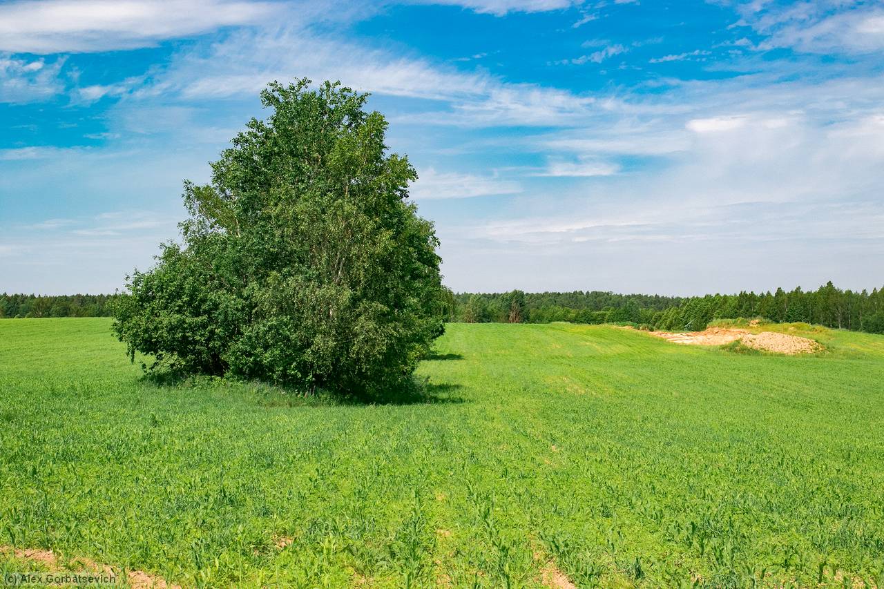 ������ � ����