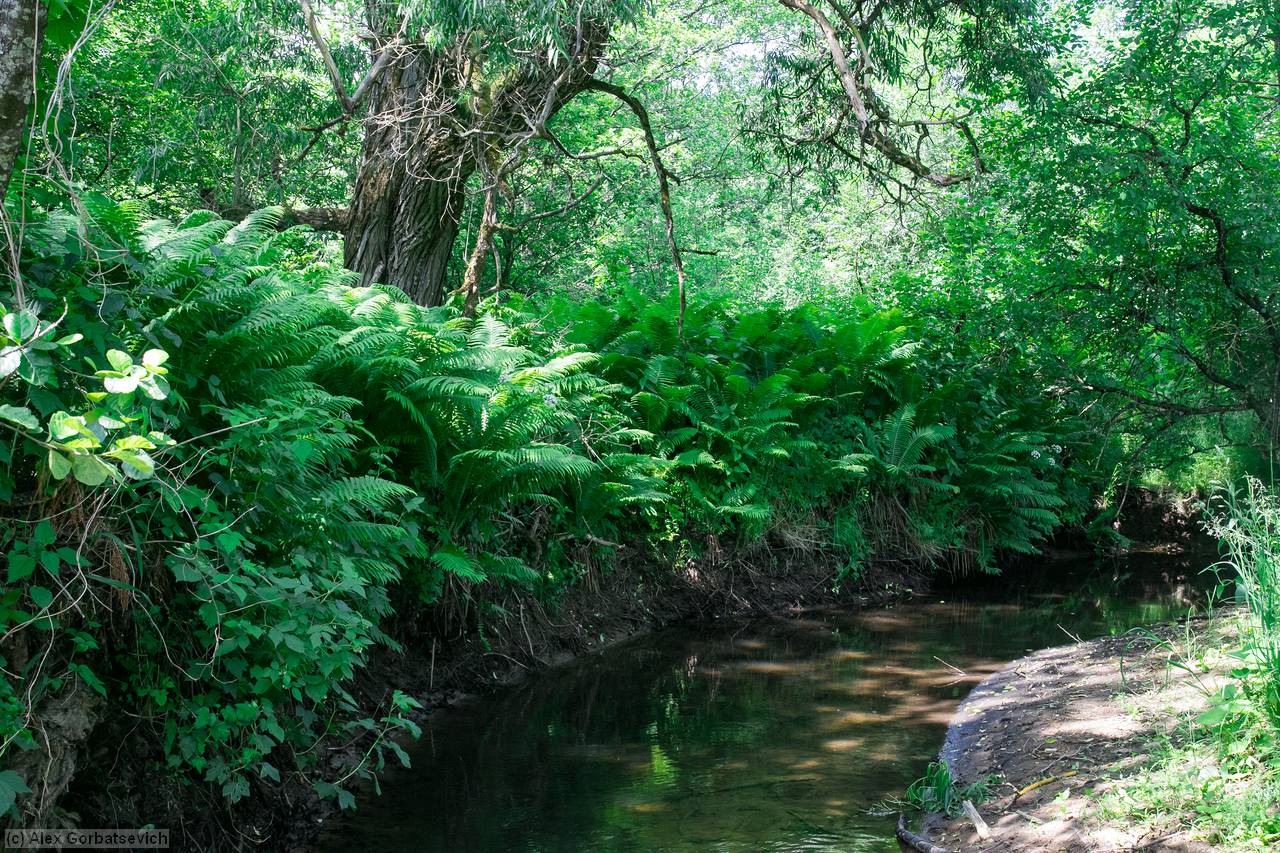 ������������� �����