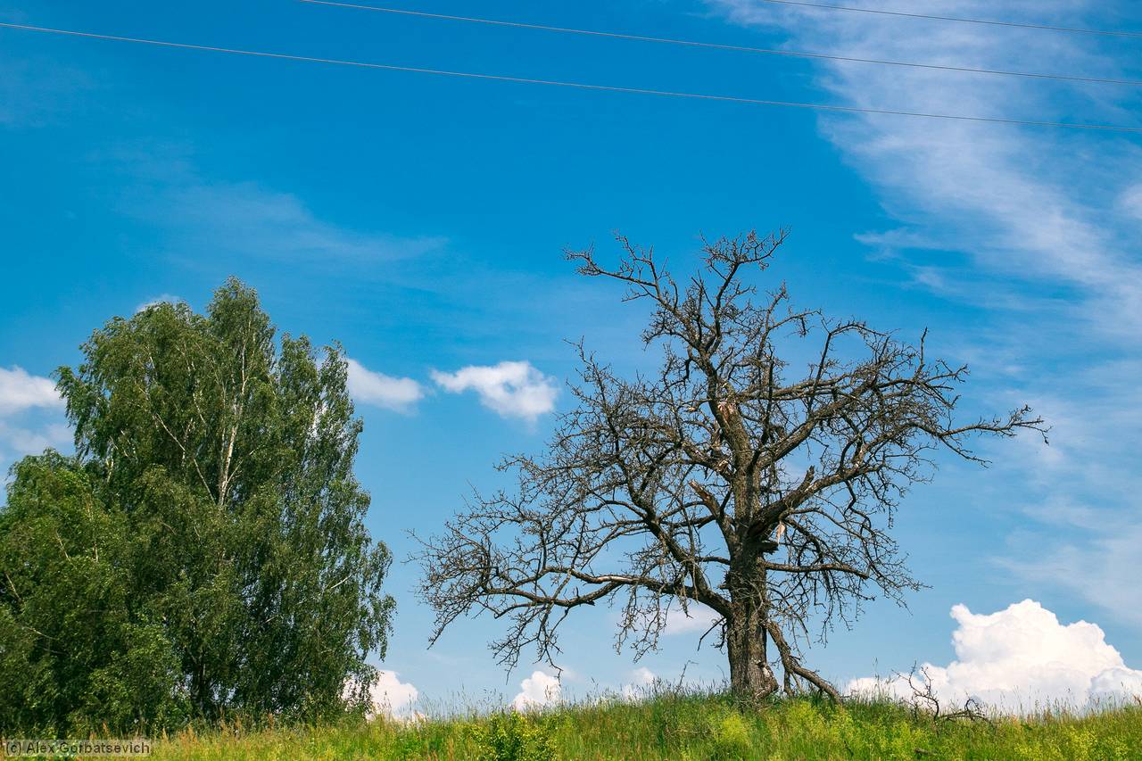 ��� �����