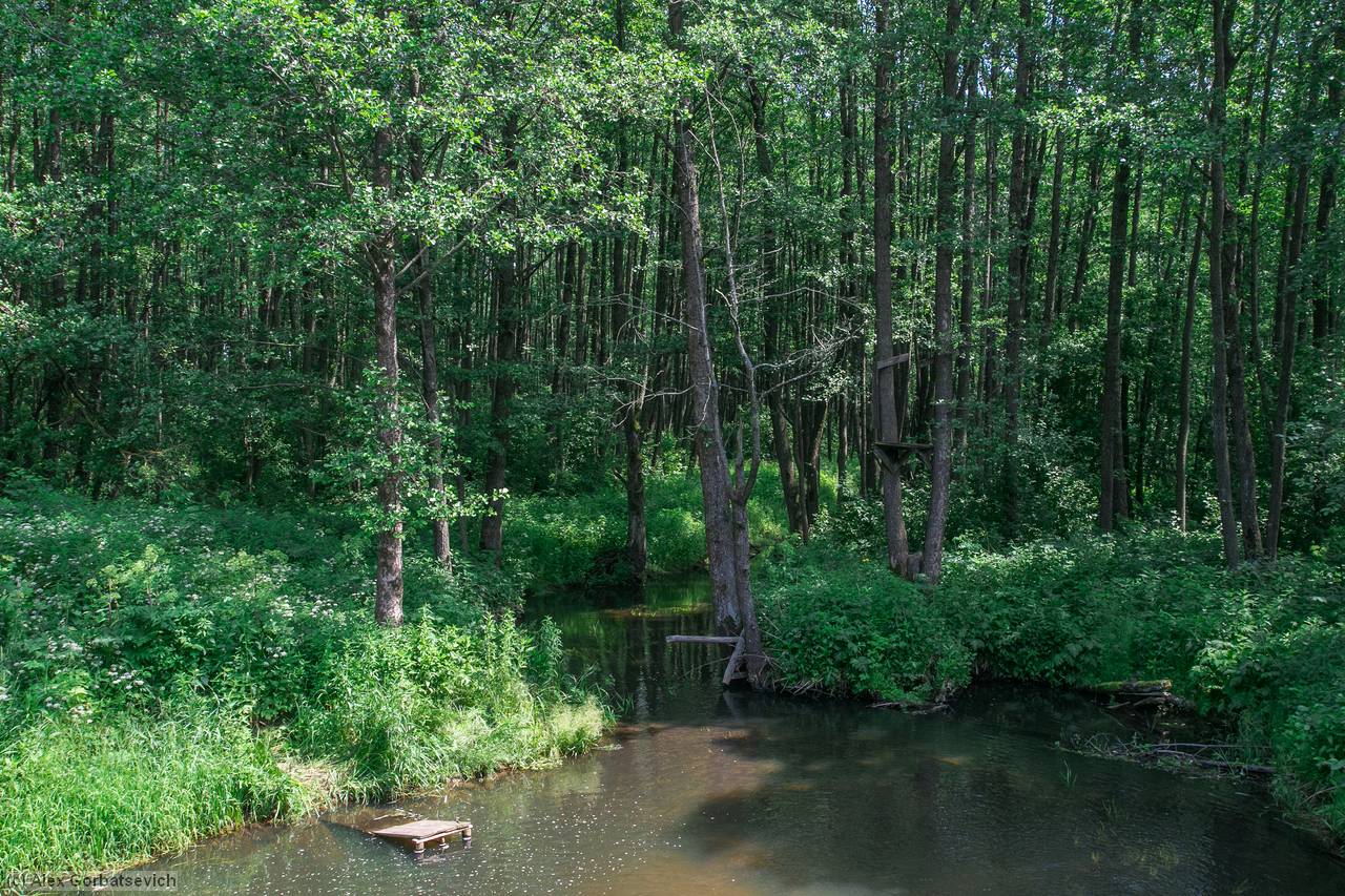 ����� �� ������