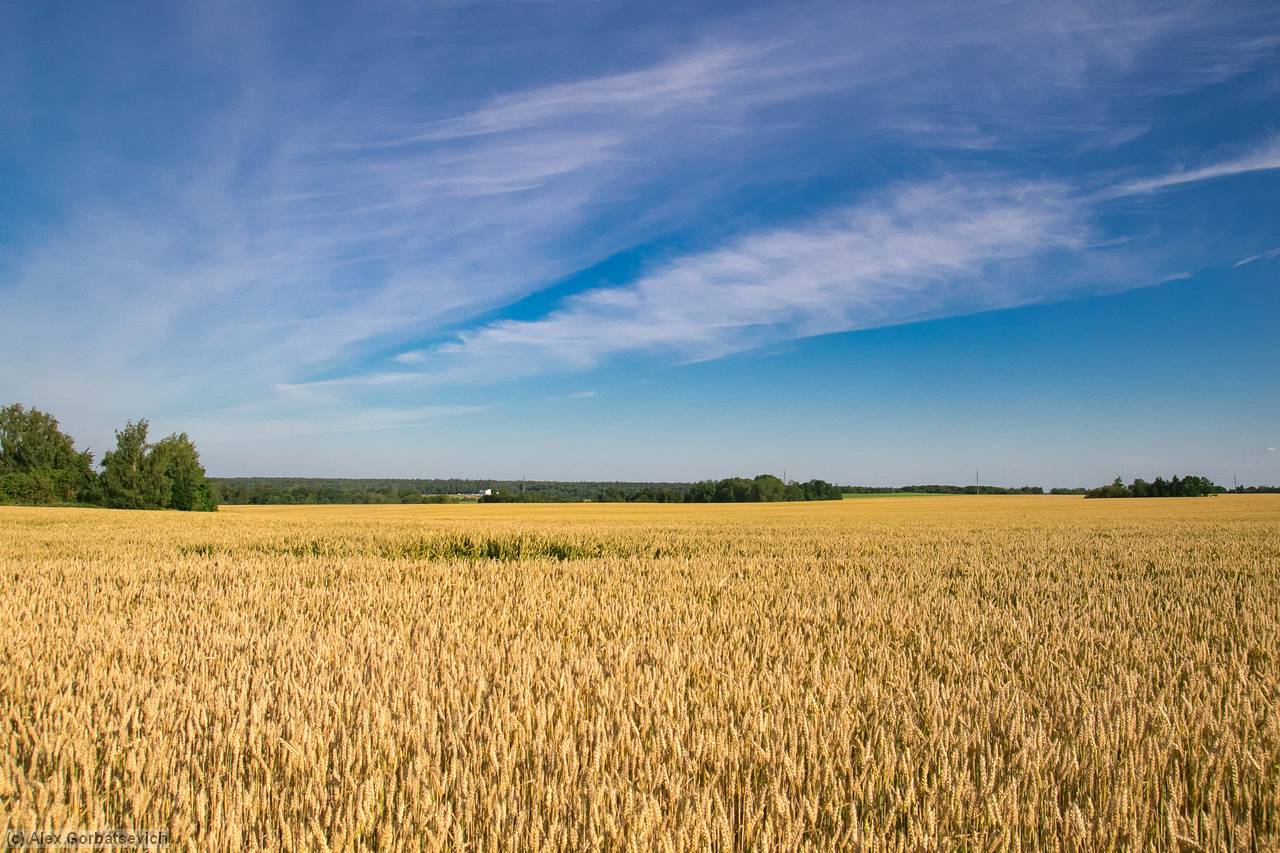 ���� �������