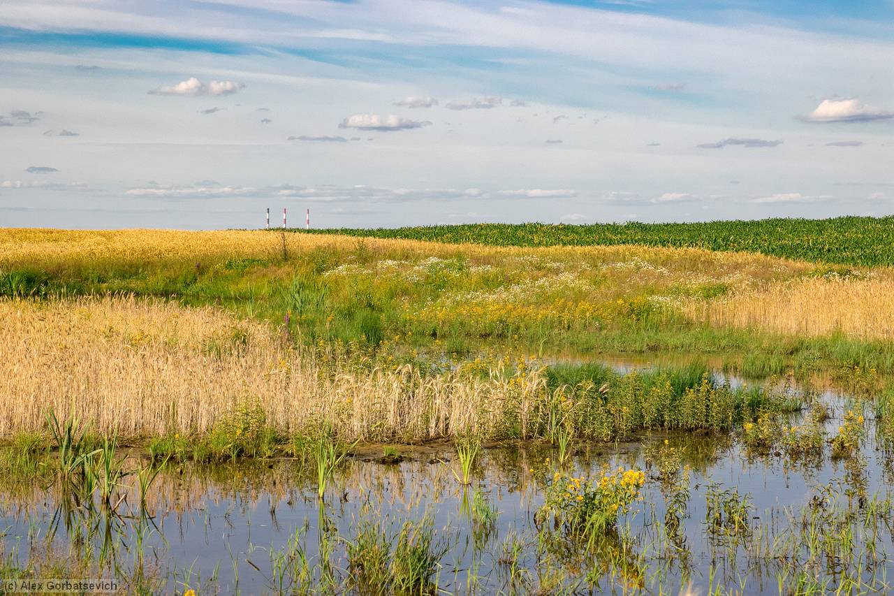 �������� ������������