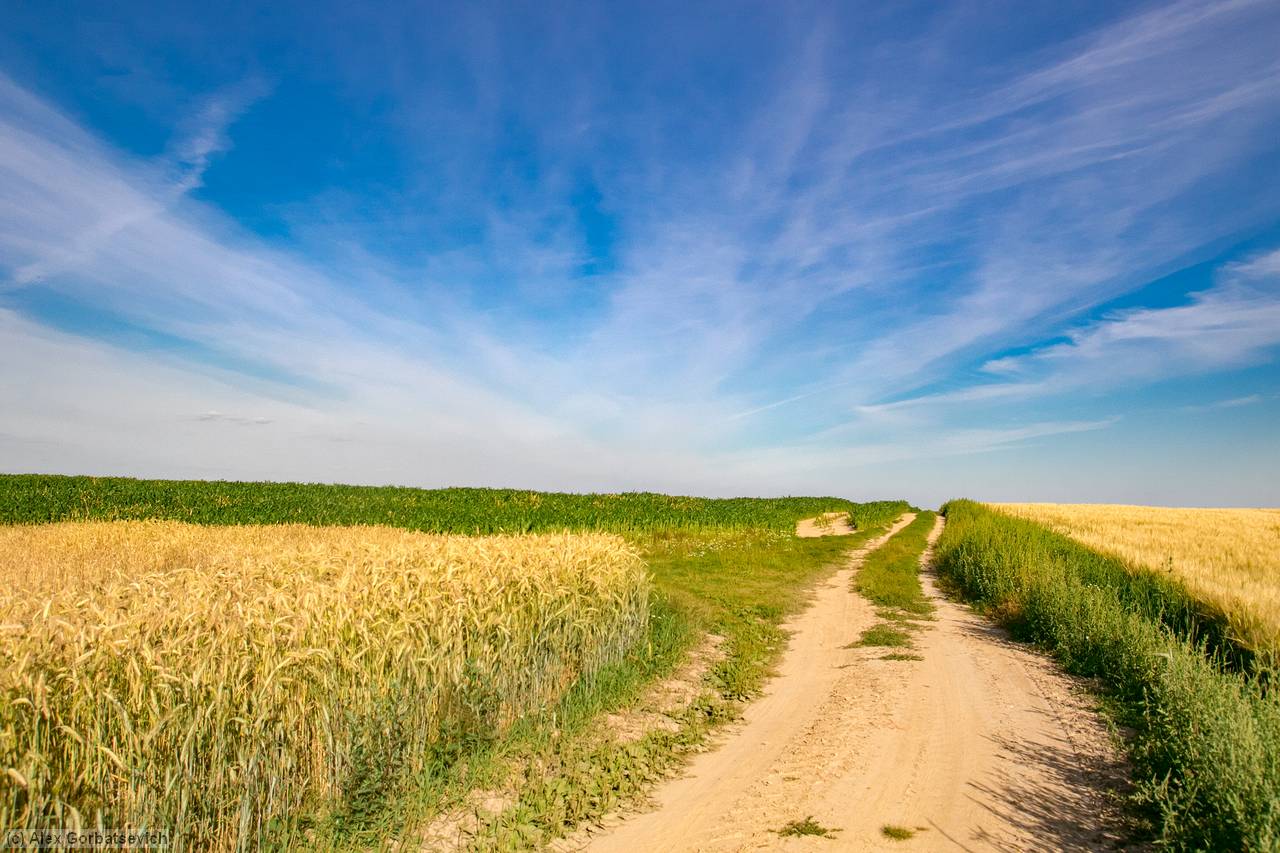 ������� ������