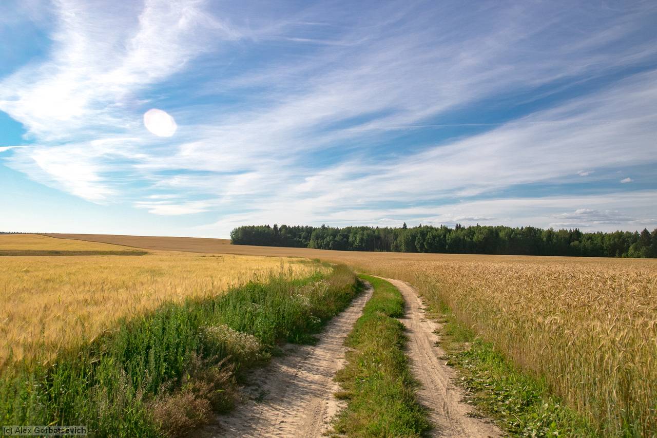 ������� ������