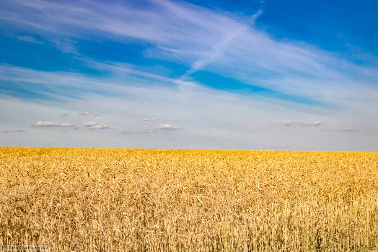 ���� ���