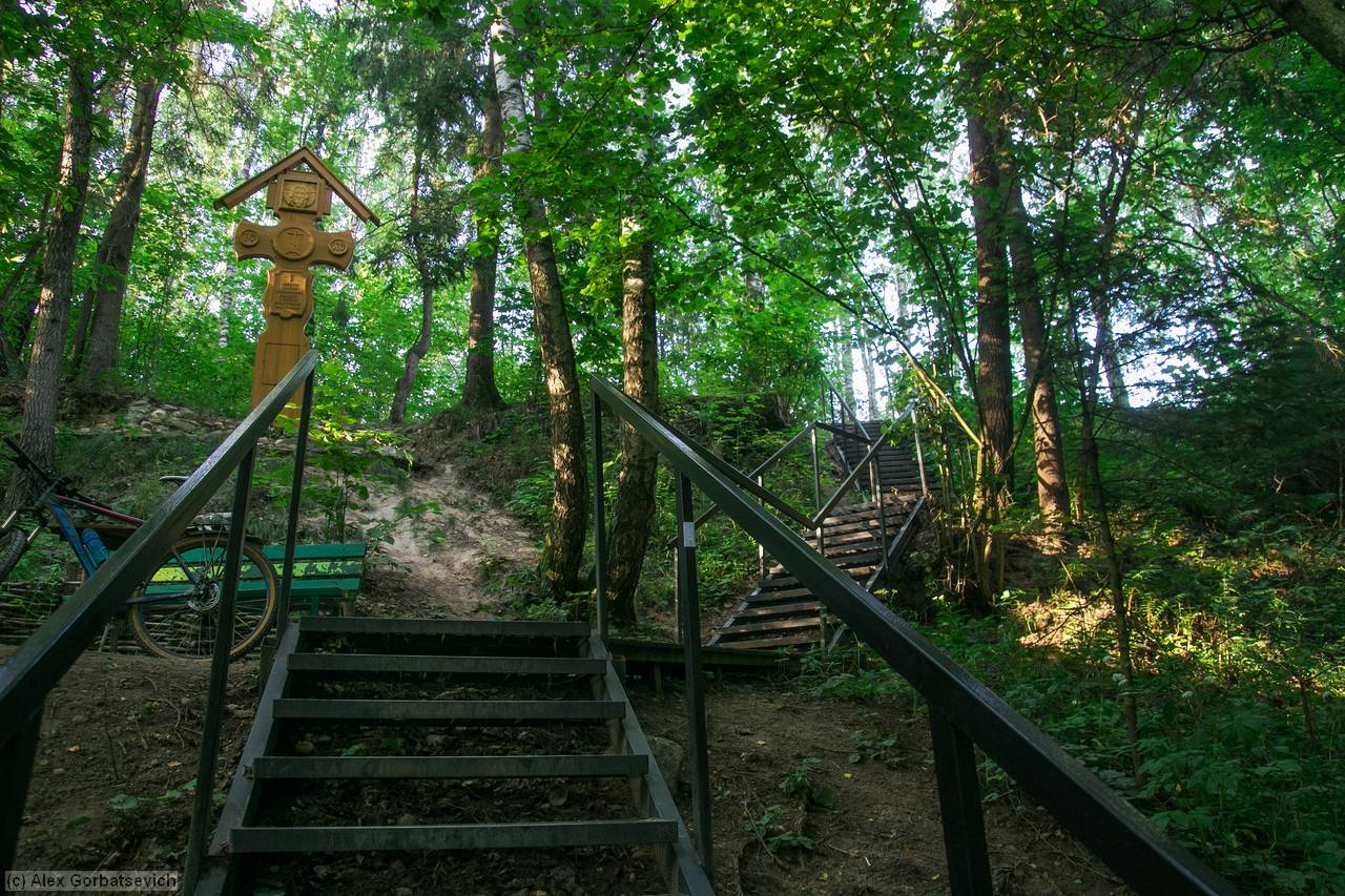 ������ ���������