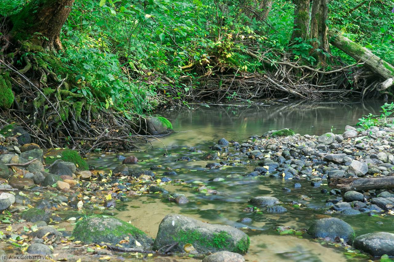 ����� ���������