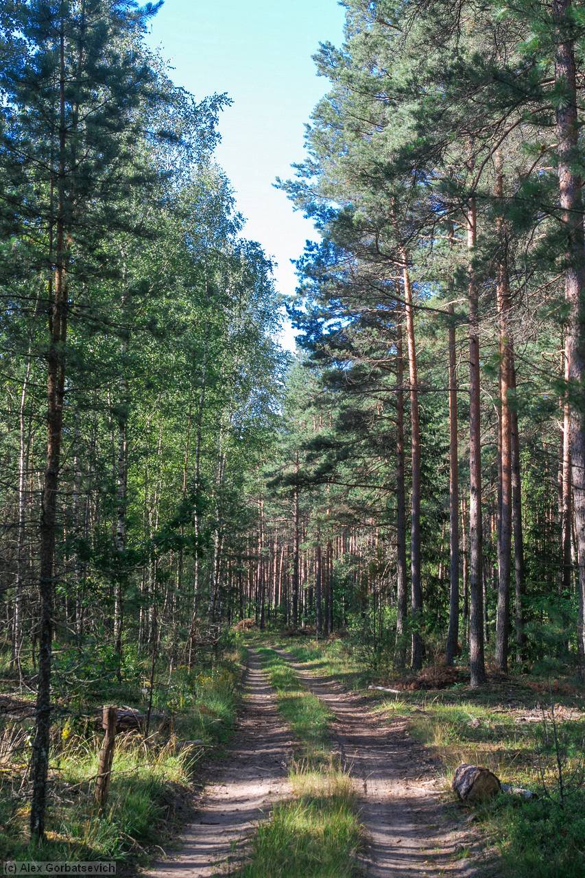 ������ �������