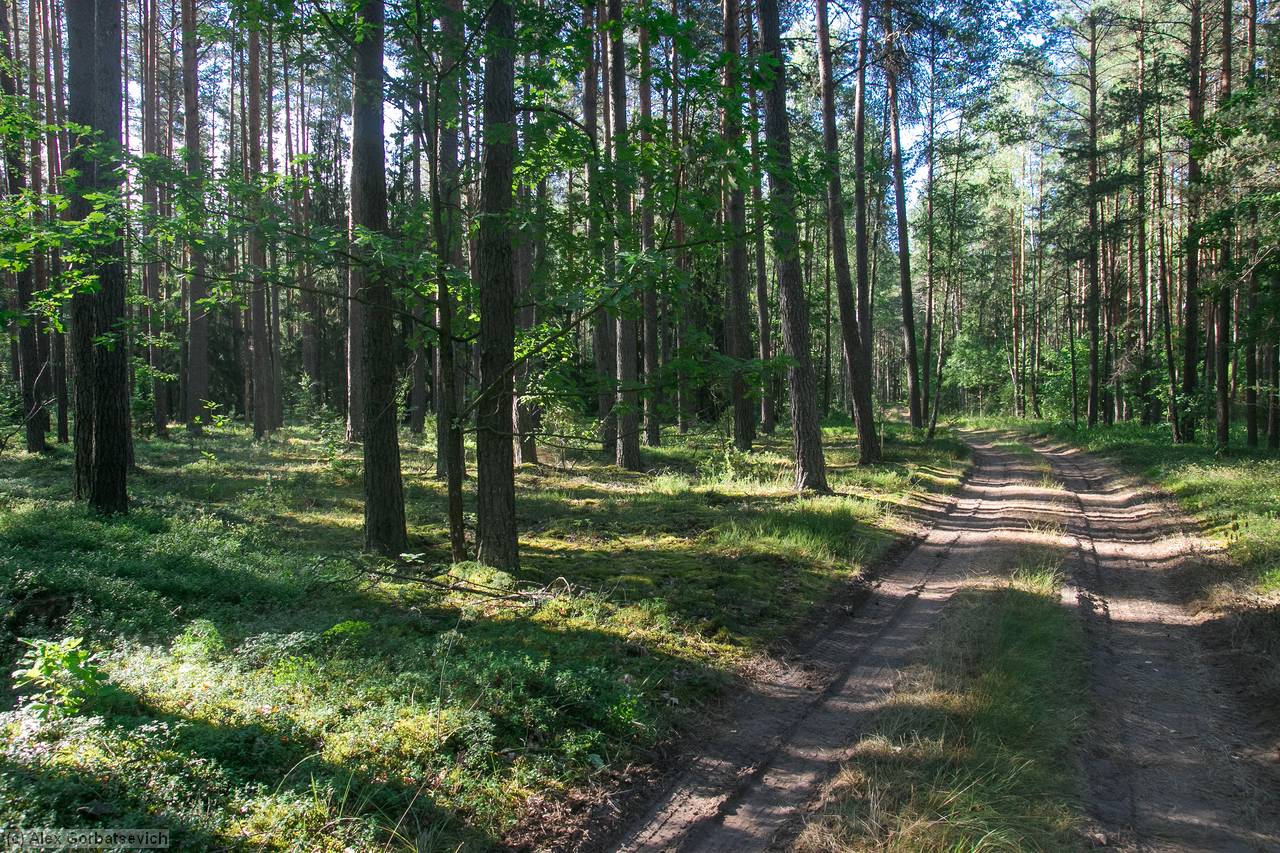 ������� ������