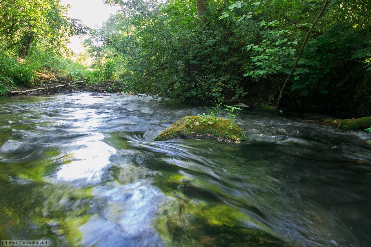 �. �����