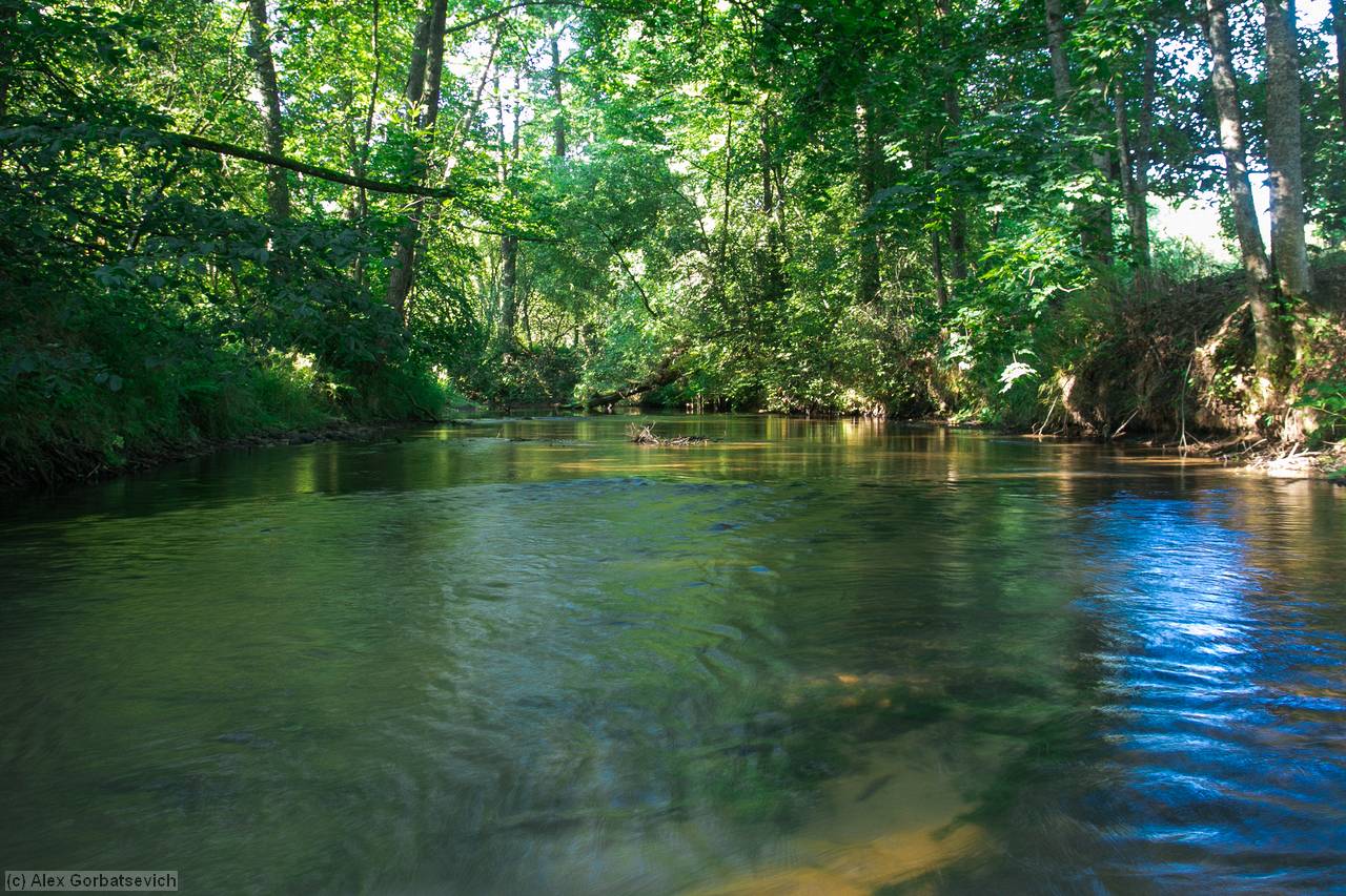 �. �����