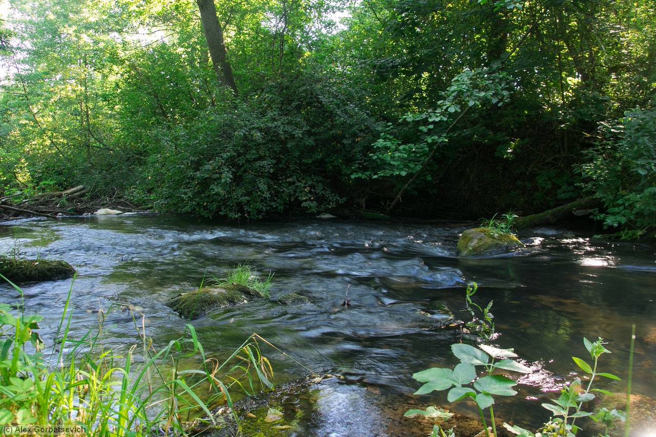 �. �����