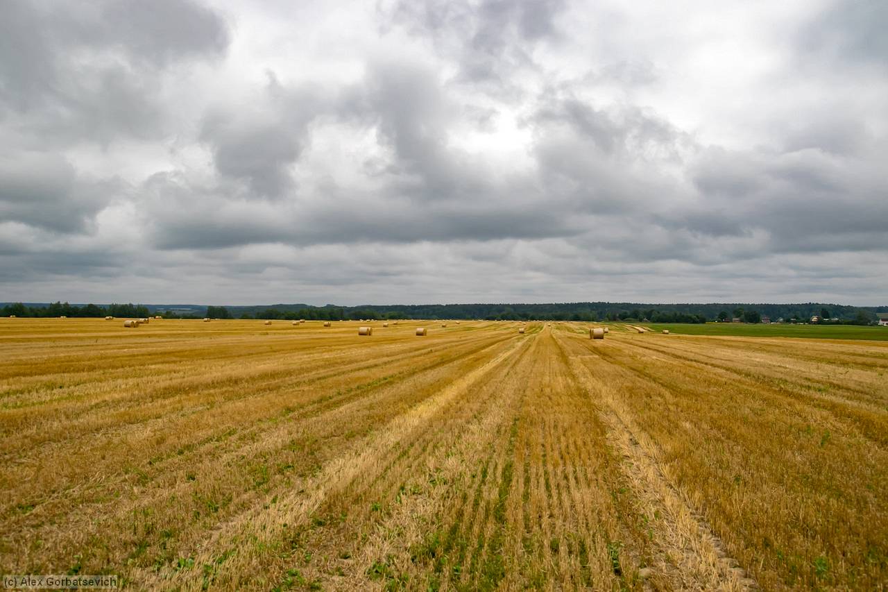 ������ �����