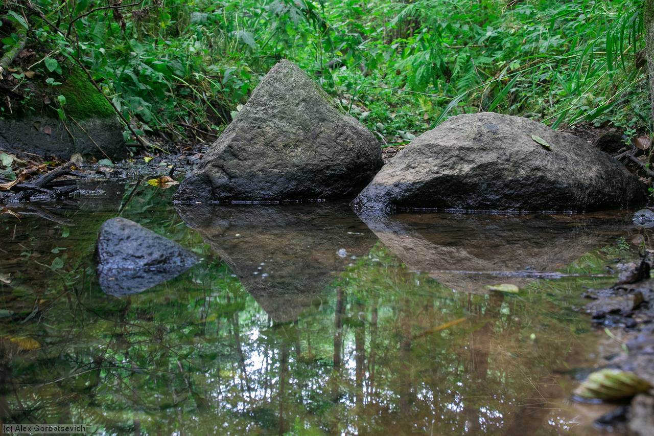 ���������������