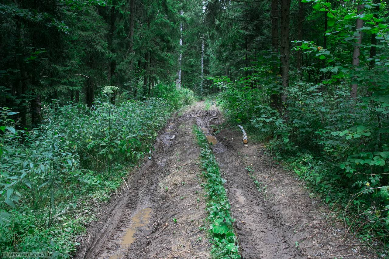 ��������� ������ �������