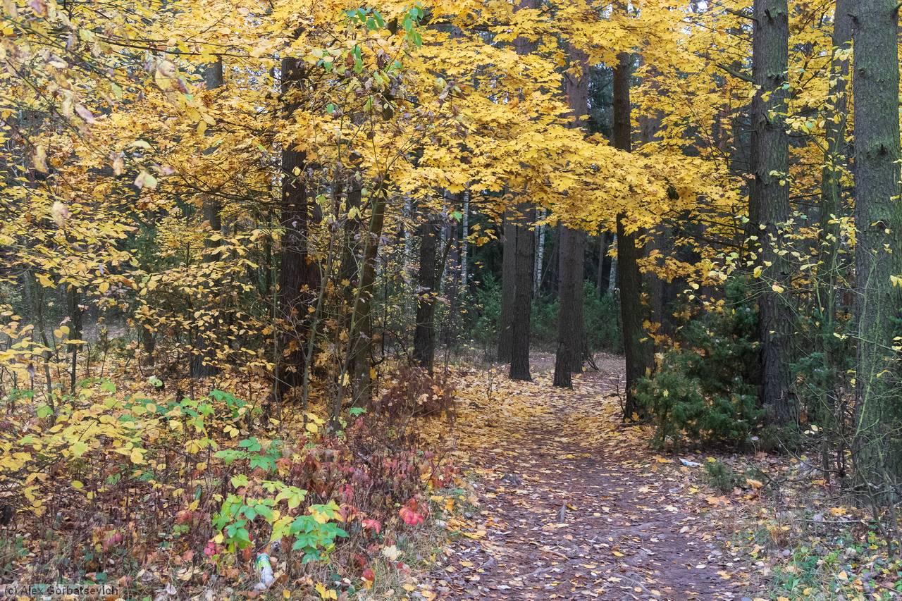 ����� � ����