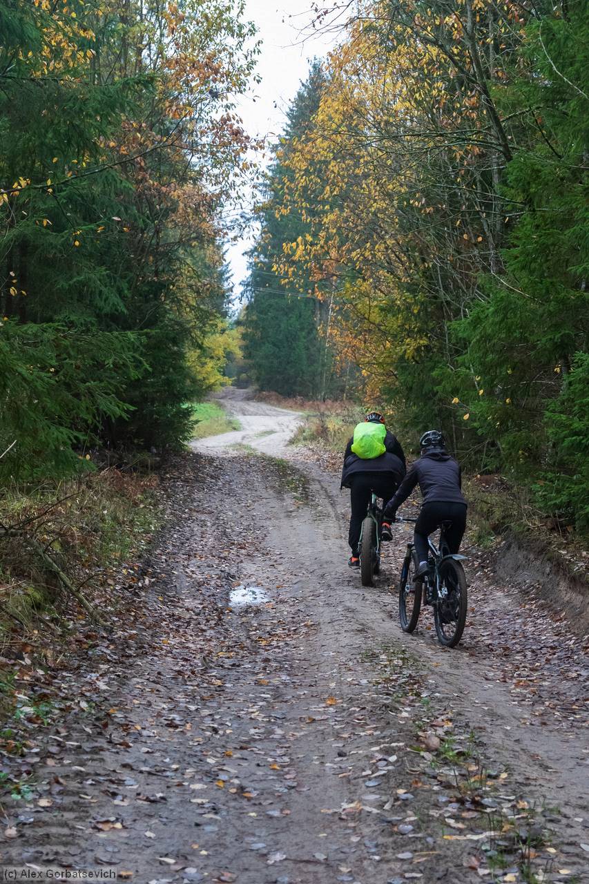 ������� �������