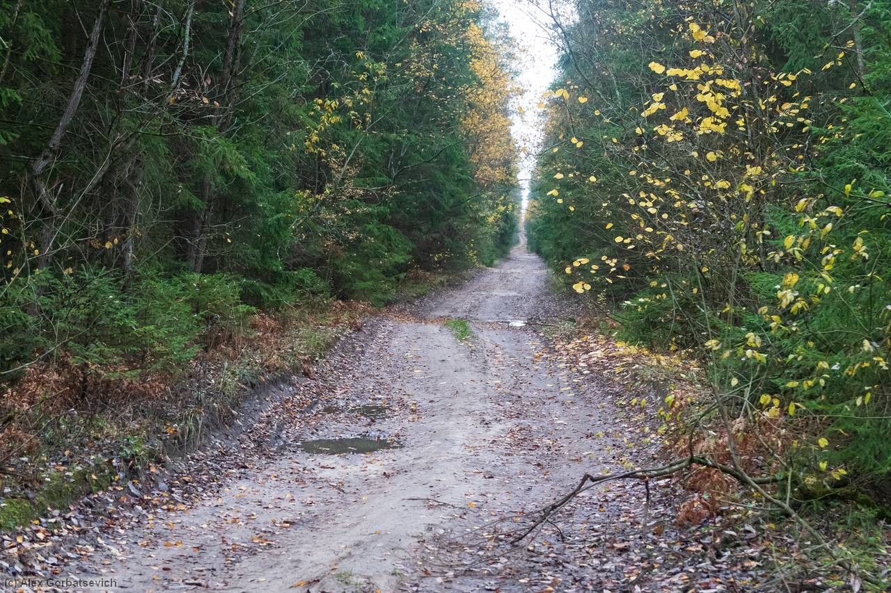 ������� �������