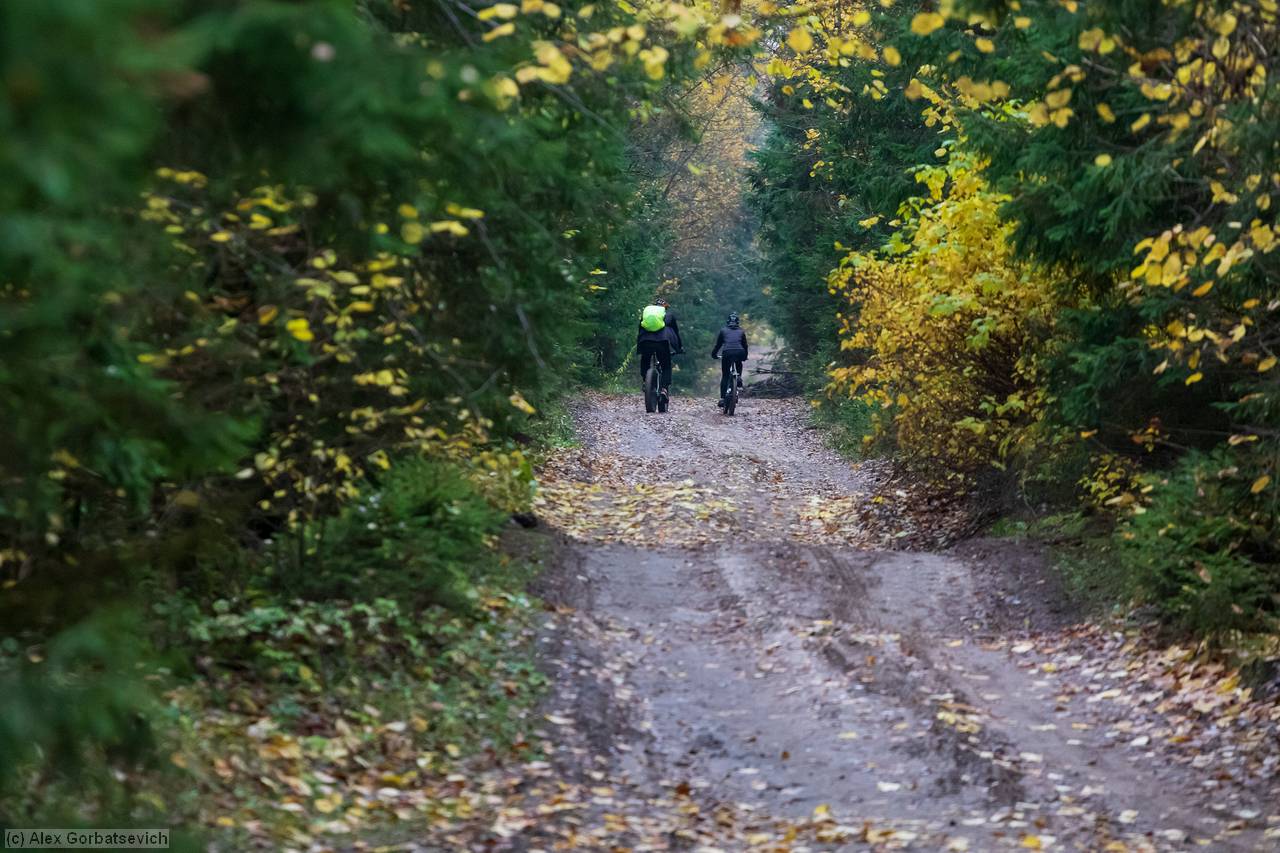 ������� �������