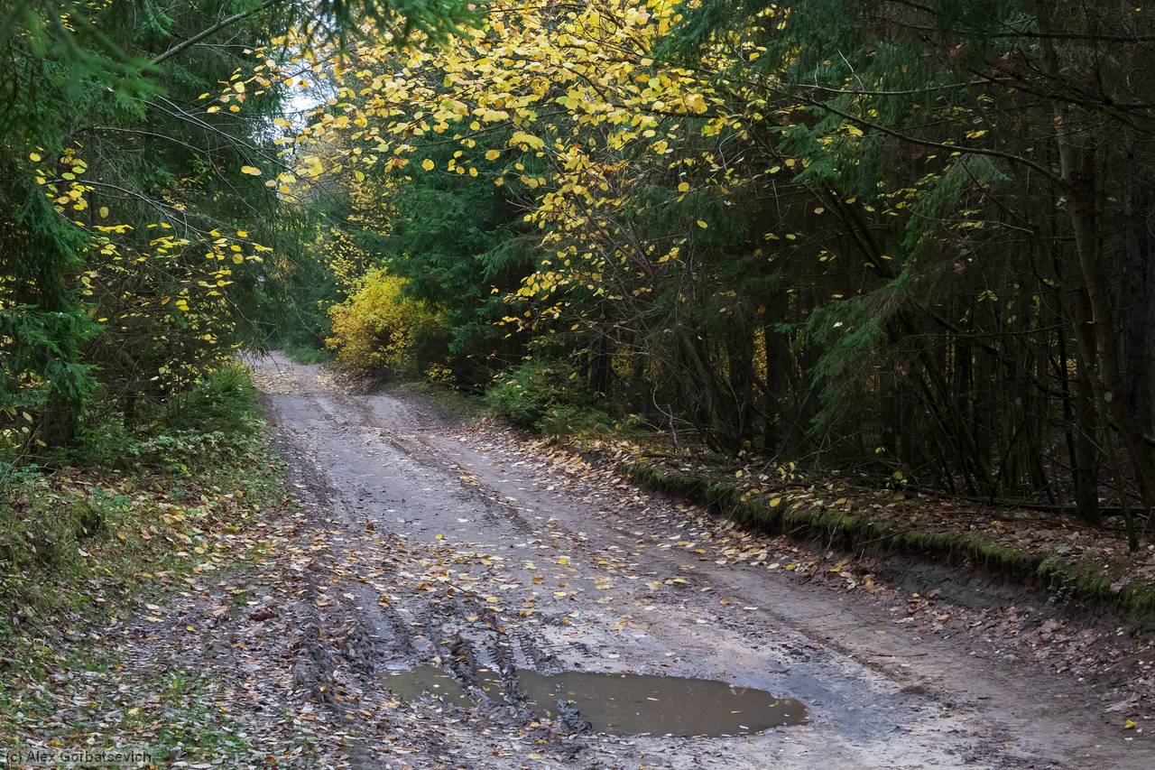 ������� �������