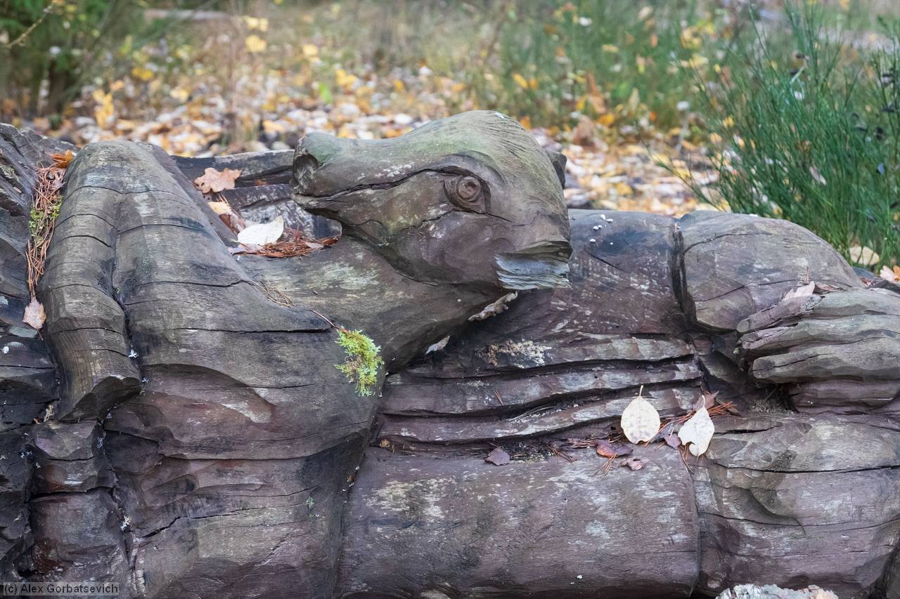 ����� �������� �����.