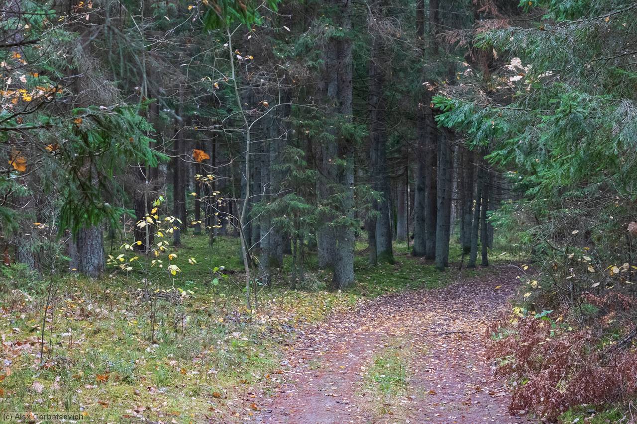 ������� �������