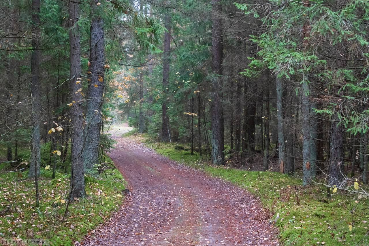 ������� �������