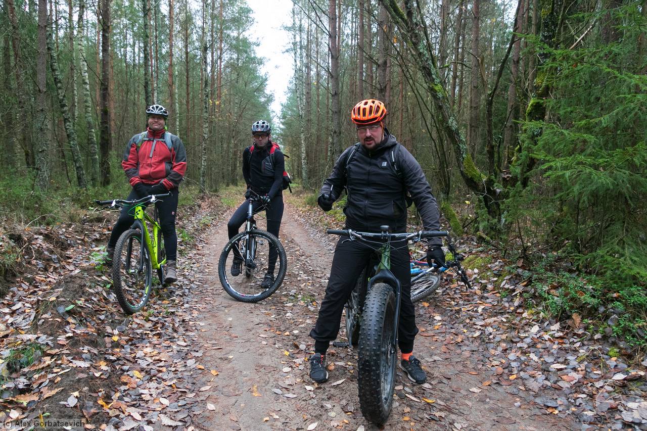 3 �������� � ����� ����