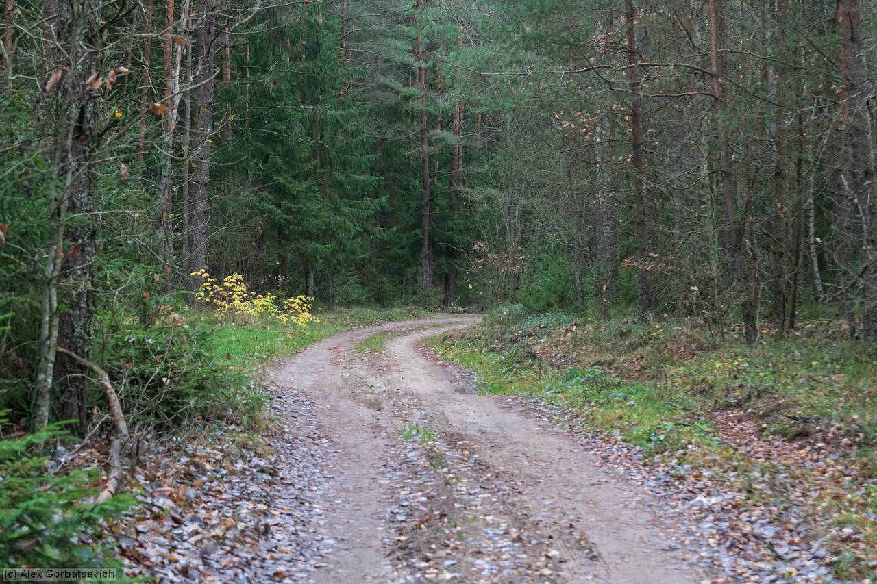 ������ �������